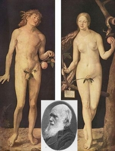 Darwin e Adão e Eva